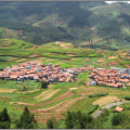 What are the 4 types of settlements?