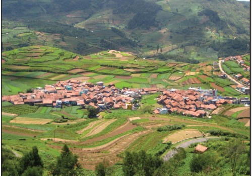 What are the 4 types of settlements?